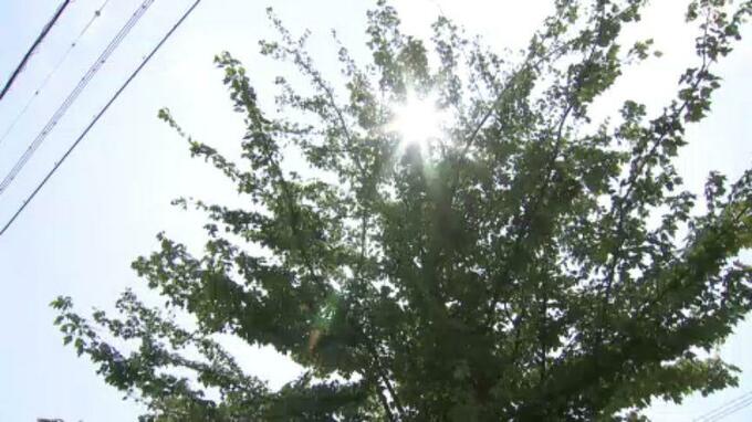 愛媛県内では熱中症で9人搬送　|　愛媛のニュース - Nスタえひめ｜あいテレビは6チャンネル