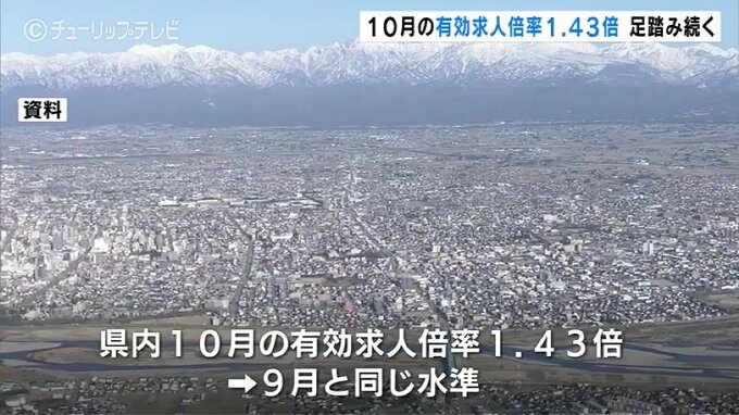 求人の動きに足踏み感　物価上昇が雇用に与える影響に注意　富山|TBS NEWS DIG