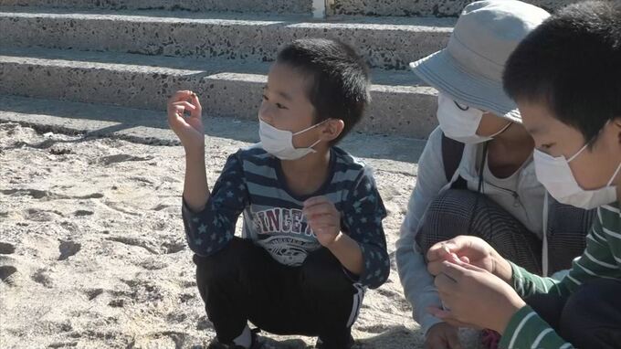 産学連携でSDGsを楽しく学ぶ「海と森の教室」島根県松江市　|　BSSニュース | BSS山陰放送