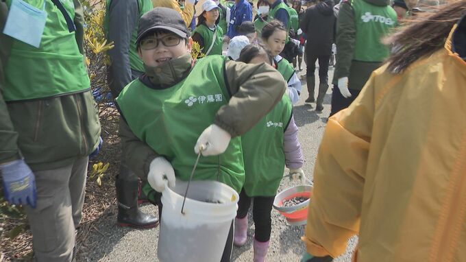 「お茶で山口を美しく。」伊藤園がきらら浜のアサリを守る環境保全活動 海の再生目指す 山口|TBS NEWS DIG