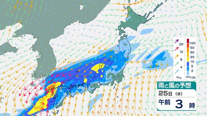 きょうは西から雨拡大　あす25日(水)は「南岸低気圧」で激しい雨の恐れ　雨風シミュレーション|TBS NEWS DIG