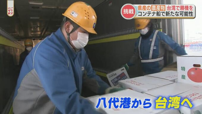 「ミカン」で勝機をつかめ！台湾で「熊本ブランド」の確立めざす　|　熊本のニュース｜RKK NEWS｜RKK熊本放送