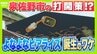 【ふるさと納税で起死回生】素通りされる街から脱却を…大阪・泉佐野市が誘致した体験型クラフトビール醸造所「よなよなビアライズ」オープンまでの長い道のり　|　MBSニュース | 関西の最新ニュースを分かりやすく。