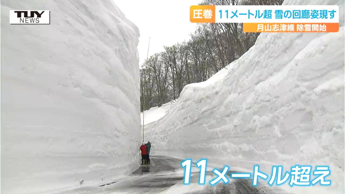 雪月様 雪月様 Z/X -Zillions of enemy X- NF DramaCD ⑨ 「13姉妹 雪月花