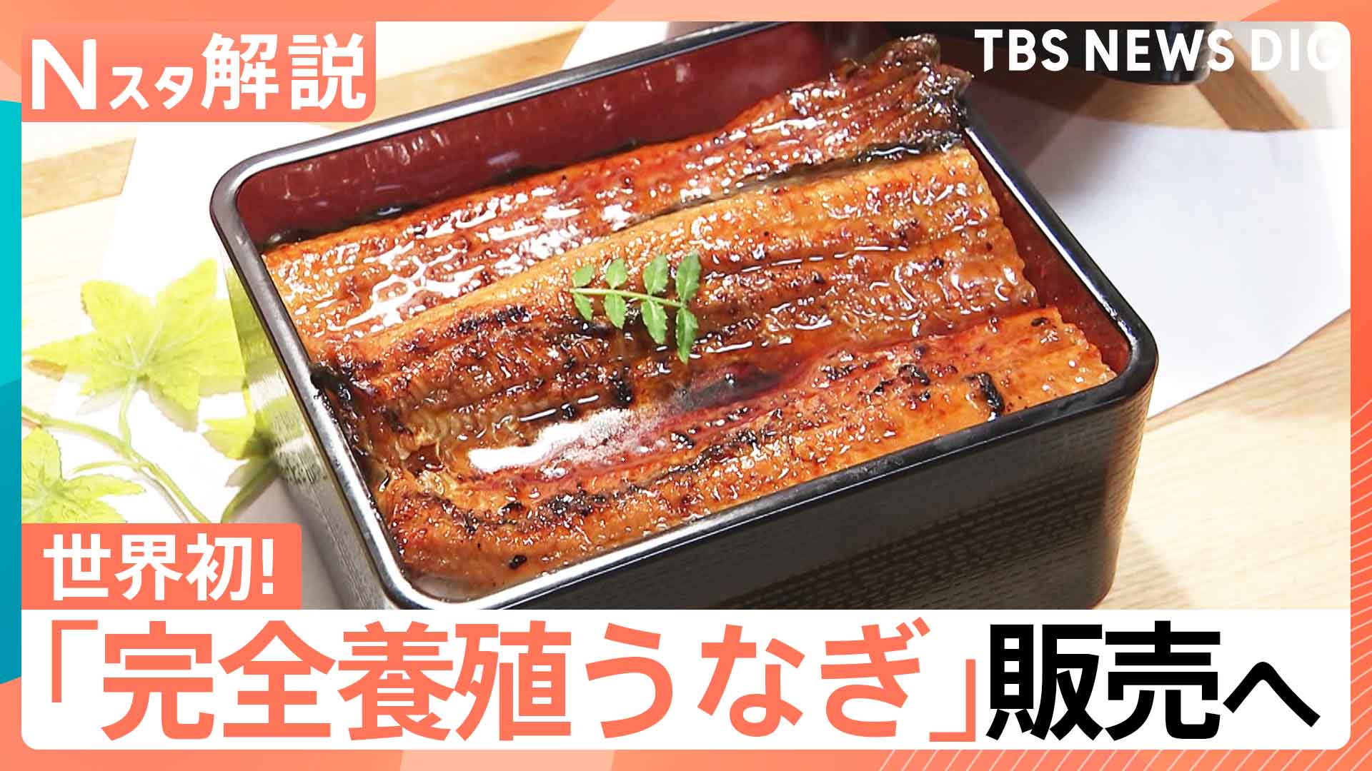 うなぎページ 完全養殖うなぎ」29日から一般向け販売へ、国産うなぎは前年比4割安