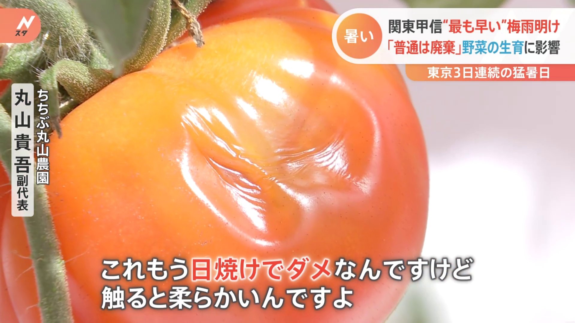 史上最速 の梅雨明けで夏野菜に影響が きゅうりもトマトもほうれん草も大打撃 東京では3日連続の猛暑日に Tbs News Dig