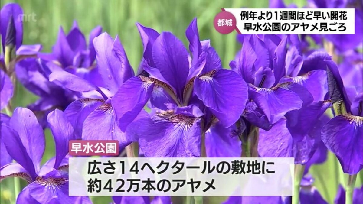 img_26090482388445870952e106d6