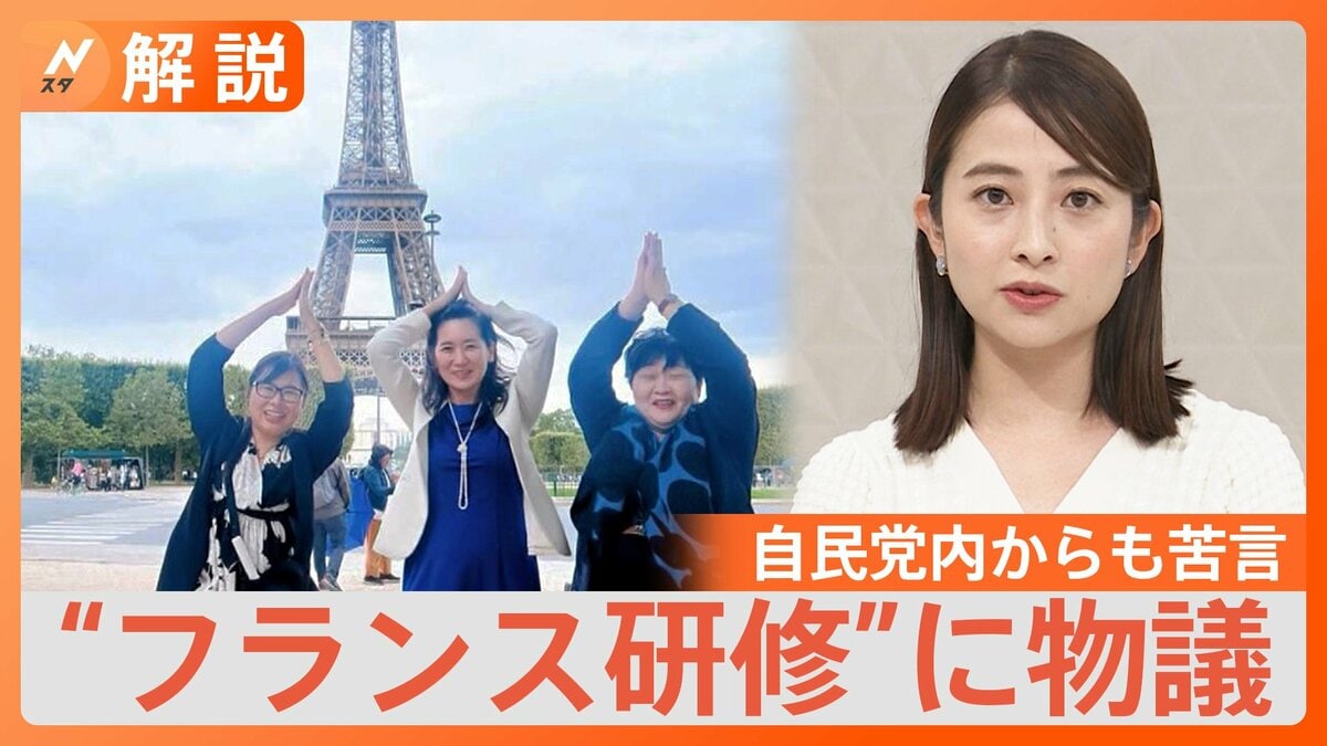 自民党 フランス研修