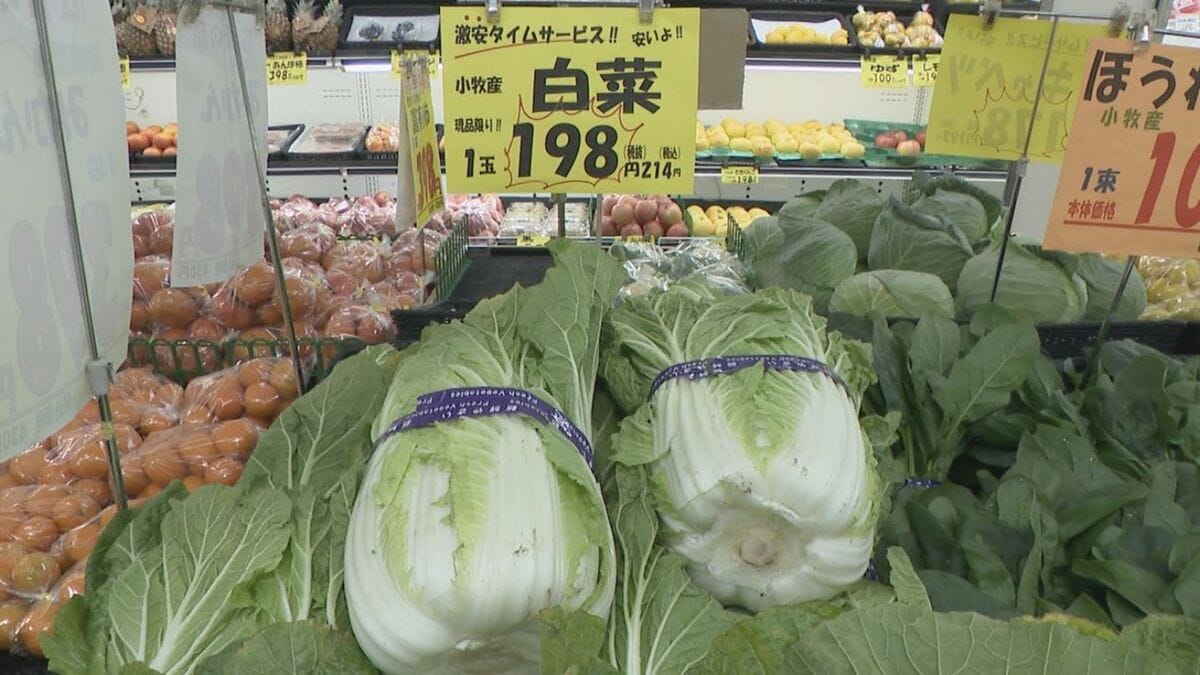“家計の救世主”最安値が続く白菜 オススメ食材は劇的な値上がりのない国産牛肉や価格安定の豚肉 ｢鍋やすき焼き｣
