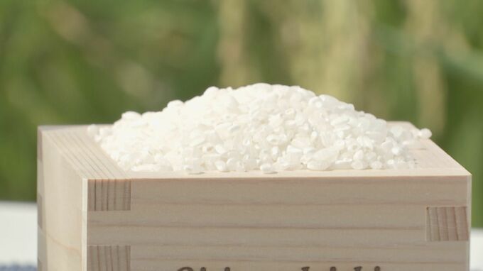 「コシヒカリ100キロを4万5000円で買える」とウソ（5キロ 2250円相当） 女性から現金だまし取った69歳男を逮捕 届いたコメは40キロだけ 名古屋