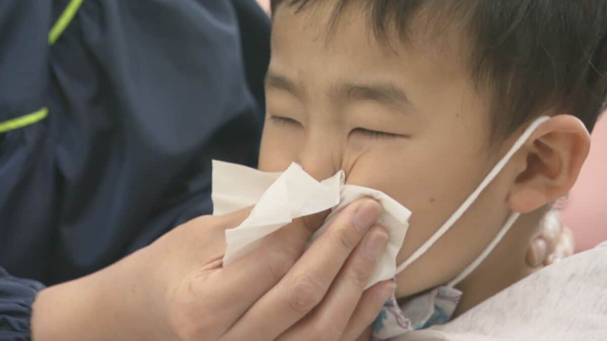 東海地方で花粉大量飛散 3歳の男の子は花粉症が原因で中耳炎にも ｢ことしは乾燥していて“いつもよりイガイガする”という人多い｣