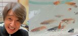 【近藤真彦】　「メダカを買いました」「持ち帰ってから家にいるメダカちゃん達と合流。産卵ラッシュが楽しみです！」　メダカ愛好家の一面を明かす|TBS NEWS DIG