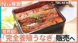 「完全養殖うなぎ」29日から一般向け販売へ、国産うなぎは前年比4割安!今後の価格はどうなる?【Nスタ解説】|TBS NEWS DIG