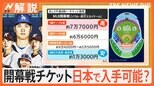 大谷開幕チケット倍率は800倍か、JTB 開幕戦観戦ツアー販売へ【Nスタ解説】|TBS NEWS DIG
