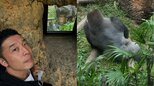 【なかやまきんに君】「ゴリラの広背筋を見に」動物園でも筋肉に余念無し「#今日は背中の日」　フォロワー共感「ゴリラええ筋肉」「草食なのにゴツい筋肉」|TBS NEWS DIG