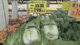 “家計の救世主”最安値が続く白菜 オススメ食材は劇的な値上がりのない国産牛肉や価格安定の豚肉|TBS NEWS DIG