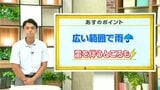高知の天気　15日広い範囲で雨　雷を伴うところも　山岸拓気象予報士が解説|TBS NEWS DIG
