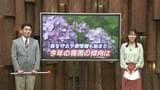 【徹底解説】今年の梅雨は大雨に注意!今年導入された「線状降水帯 “予測情報”」活用を|TBS NEWS DIG