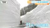 こんなの見たことない!雪の回廊は驚異の11メートル超え! 春の訪れを告げる "月山志津線" の除雪作業(山形・西川町) | 山形のニュース│TUYテレビユー山形