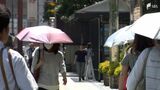 東海地方が梅雨明け「これだけ天気が良くてうれしい」富士山は登山客でにぎわう | 静岡のニュース | SBSNEWS | 静岡放送