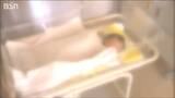 新潟県の『子どもの数』 44年連続で減少し過去最低に 1981年と比べると30万人以上少なく…|TBS NEWS DIG