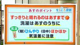 高知の天気 すっきりと晴れるのは12日まで 朝晩と日中の気温差に注意 東杜和気象予報士が解説|TBS NEWS DIG