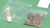 韓国から麻薬など密輸か リュックには大麻草入りタバコ ポケットには麻薬成分含む固形物 フランス国籍の男を逮捕 | 沖縄のニュース|RBC 琉球放送