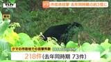 市街地でのクマの目撃が200件超…去年同時期の3倍に　きょうも鶴岡の温泉街近くに出没　県が警戒呼びかけ（山形）　|　山形のニュース│TUYテレビユー山形