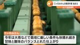 「三ヶ日みかんを堪能してね！」　三ケ日みかん選果スタート　静岡県浜松市|TBS NEWS DIG
