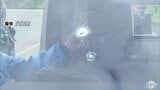 「運転席の頭の中心辺り貫く」猟銃の弾当ったか けがした青森県深浦町の女性が証言 現場周辺でサル追い上げ |TBS NEWS DIG