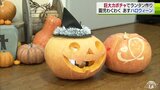 ハロウィン前に巨大カボチャのランタン制作 園児が40分格闘・重さ32キロの肉厚カボチャ | 青森のニュース│ATV NEWS│青森テレビ