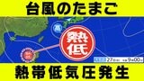 【台風のたまご=熱帯低気圧】発生 日本への影響は? シミュレーションでは別の「反時計回りの渦」も【雨・風シミュレーション29日(金)~9月7日(日)】|TBS NEWS DIG