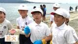 「海開きが楽しみ」目の前に桜島 子どもたちが磯海水浴場を清掃 鹿児島|TBS NEWS DIG