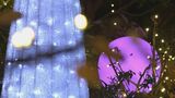 イルミネーションでクリスマスムード漂う空港 高さ5メートルの大きなツリーも|TBS NEWS DIG