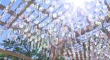 1万個の風鈴が揺れる祭り めざすは「世界一の風鈴街道」|TBS NEWS DIG