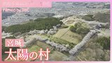 太陽の村と満開の桜【JNN sakuraドローンDIG 2025】|TBS NEWS DIG