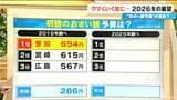 “お賽銭の予算”多い県はどこ? 前回は愛知が1位で694円 今回の1位は1925円 今年はスポーツのビッグイベント多数 ウマくいく年に… 2026年の主な予定をチェック|TBS NEWS DIG