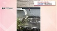狙われる"死角" エアコン室外機の盗難相次ぐ 金属高騰で換金目的か | MRTニュース | MRT宮崎放送