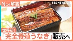 「完全養殖うなぎ」29日から一般向け販売へ、国産うなぎは前年比4割安！今後の価格はどうなる？【Nスタ解説】| TBS CROSS DIG with Bloomberg