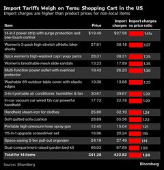 中国ネット通販Ｔｅｍｕ、米で価格２倍以上も－関税コスト転嫁| TBS CROSS DIG with Bloomberg