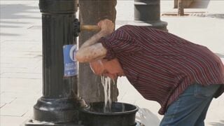 欧州が“最速で温暖化進む大陸”　EU気象情報機関など分析　山火事による焼失面積も過去最大| TBS CROSS DIG with Bloomberg