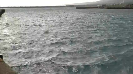 海上波が高く海の便に乱れ 種子屋久航路のフェリー欠航 あす18日も波