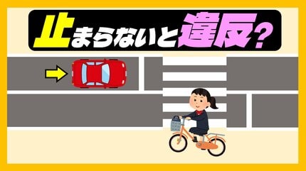 車の運転中、横断歩道に自転車が…止まる？意外と知らない“交通ルール 