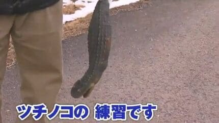 これ、ツチノコの死骸？」骨・皮・内臓は24年経った今も保管中