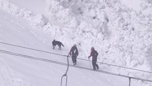当日朝のパトロールでは割れ目などの前兆なし「あの子のこと助けて」の声で男の子を救助　写真や証言で振り返るスキー場で起きた全層雪崩　長野・飯山市|TBS NEWS DIG