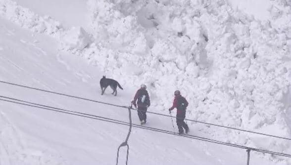 当日朝のパトロールでは割れ目などの前兆なし「あの子のこと助けて」の声で男の子を救助 写真や証言で振り返るスキー場で起きた全層雪崩 長野・飯山市 | SBC NEWS | 長野のニュース | SBC信越放送