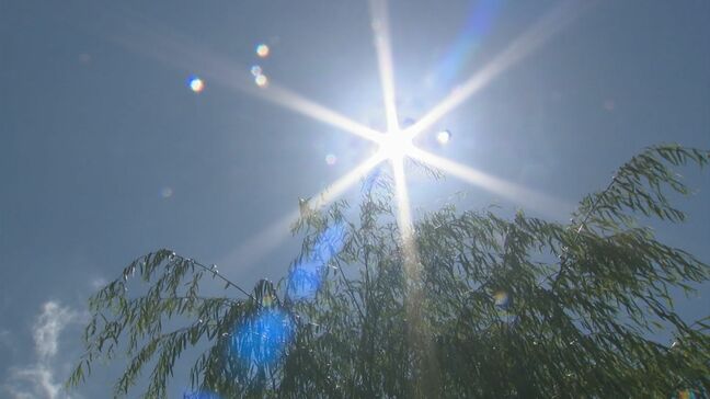 80代男性が畑で倒れ重症…20代男性が目の前が白黒になり嘔吐…20代男性と50代女性がエアコンの壊れた部屋で気分不良に　熱中症疑い救急搬送相次ぐ|TBS NEWS DIG