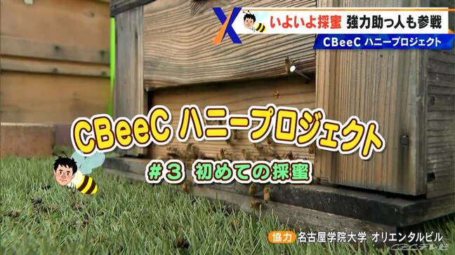 名古屋のど真ん中で育てたミツバチ いよいよ“採蜜” 気象予報士が挑んだ「都市養蜂」採れたてのハチミツの味は?「CBeeCハニープロジェクト」|TBS NEWS DIG