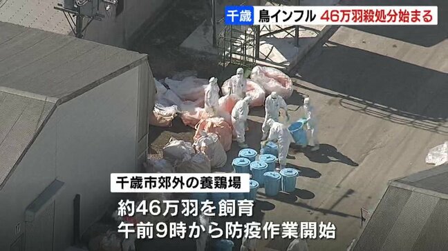 ニワトリ約46万羽の殺処分始まる 北海道千歳市の養鶏場で高病原性鳥インフルエンザ発生 道内では今季5例目|TBS NEWS DIG