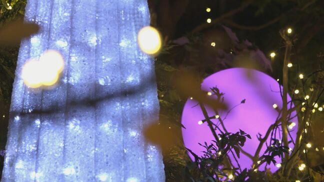 イルミネーションでクリスマスムード漂う空港　高さ5メートルの大きなツリーも|TBS NEWS DIG